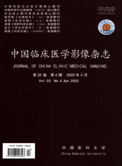 中国临床医学影像期刊